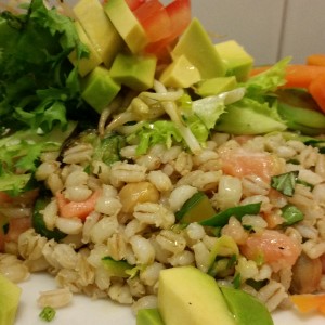 Insalata di Orzo da Agr. Biologica Con Salmone affumicato e Avocado