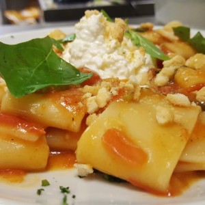 mezzi-paccheri-al-pomodoro-fresco-con-burratina-di-andria-e-briciole-di-tarallo-1