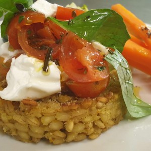 sformatino-di-orzo-con-caprese-di-burratina1